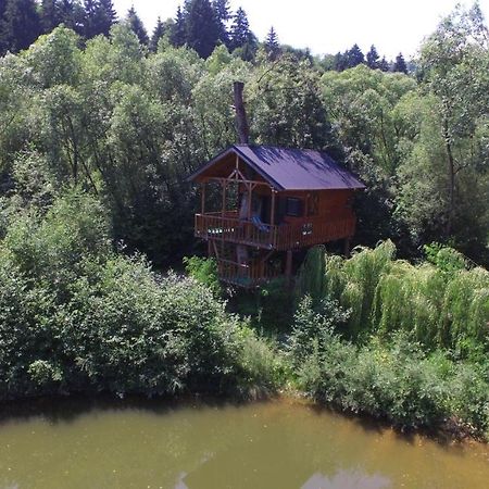 Vila Cuibul Vulturilor - Casuta In Copac Moisei Exteriér fotografie