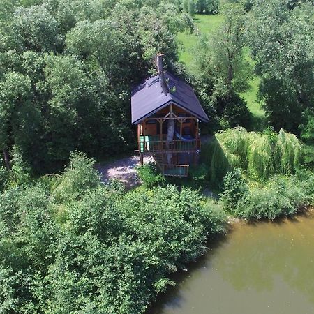Vila Cuibul Vulturilor - Casuta In Copac Moisei Exteriér fotografie