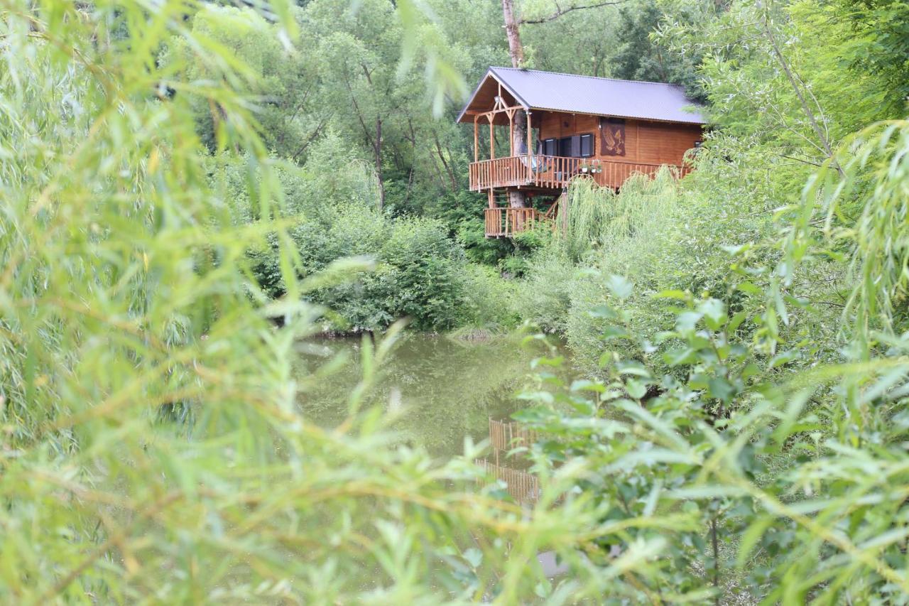 Vila Cuibul Vulturilor - Casuta In Copac Moisei Exteriér fotografie
