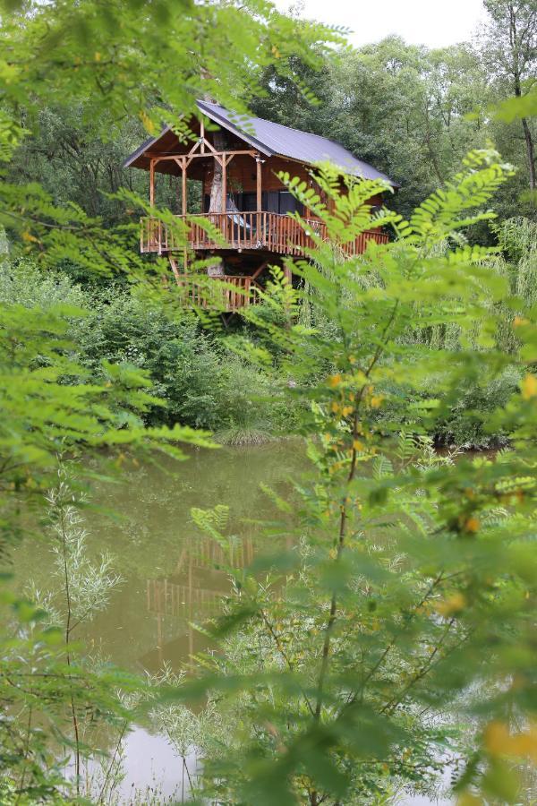 Vila Cuibul Vulturilor - Casuta In Copac Moisei Exteriér fotografie