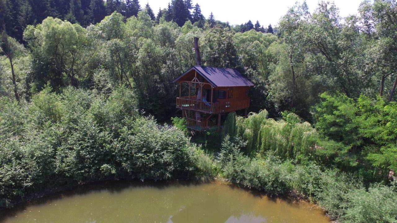 Vila Cuibul Vulturilor - Casuta In Copac Moisei Exteriér fotografie
