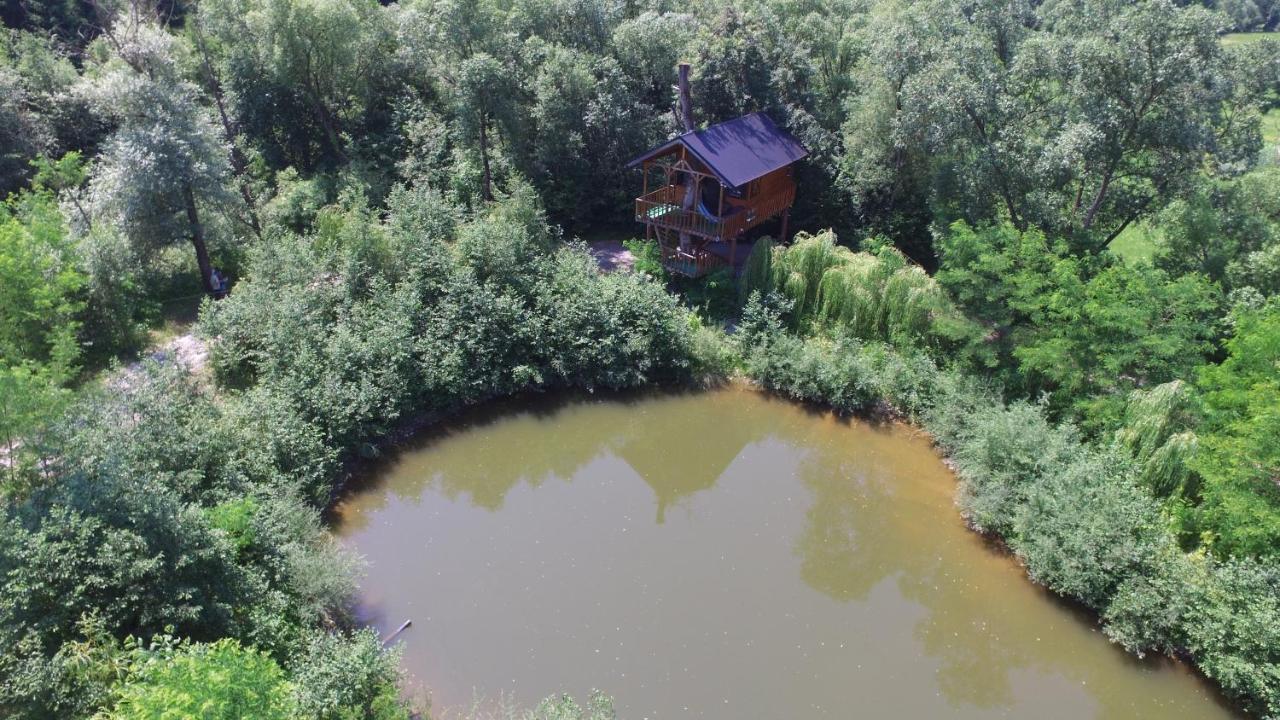 Vila Cuibul Vulturilor - Casuta In Copac Moisei Exteriér fotografie