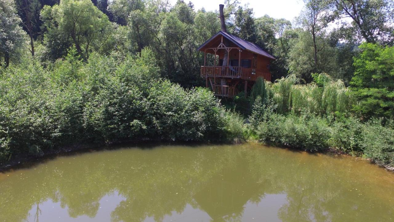Vila Cuibul Vulturilor - Casuta In Copac Moisei Exteriér fotografie