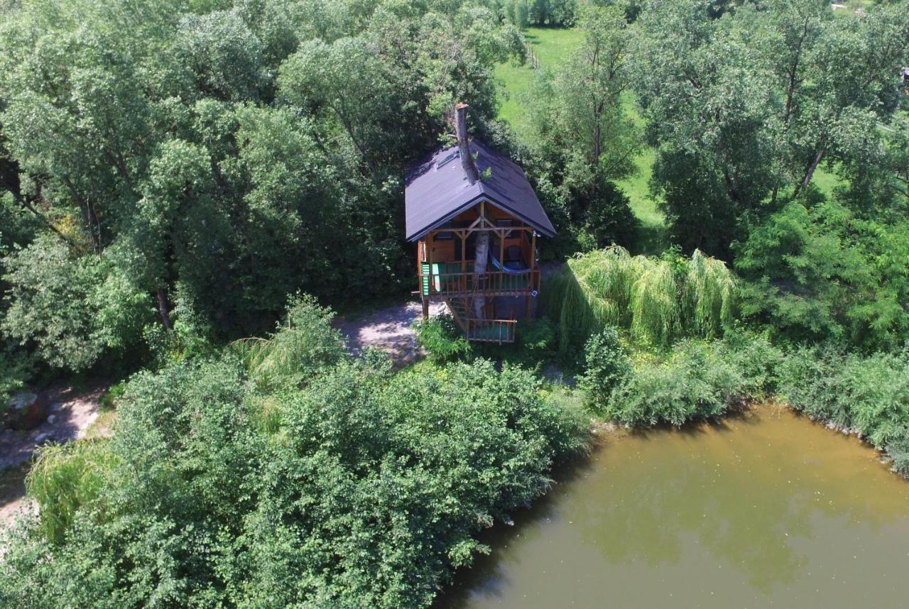 Vila Cuibul Vulturilor - Casuta In Copac Moisei Exteriér fotografie