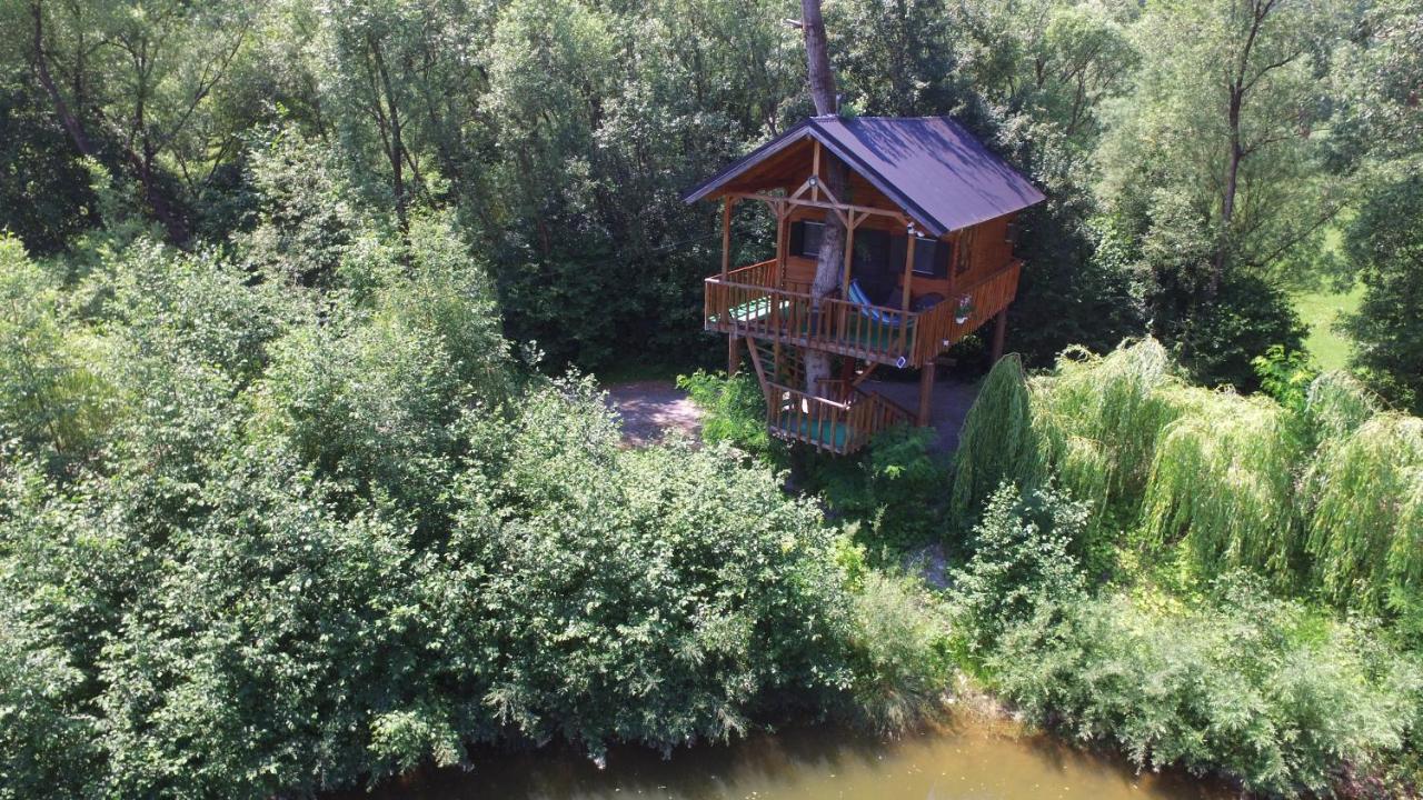 Vila Cuibul Vulturilor - Casuta In Copac Moisei Exteriér fotografie