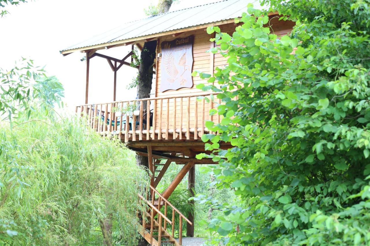 Vila Cuibul Vulturilor - Casuta In Copac Moisei Exteriér fotografie