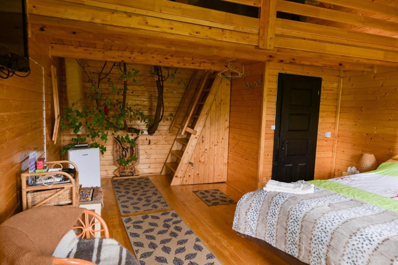 Vila Cuibul Vulturilor - Casuta In Copac Moisei Exteriér fotografie