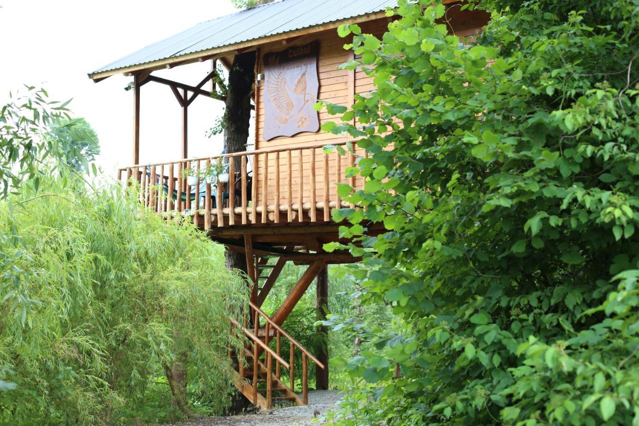 Vila Cuibul Vulturilor - Casuta In Copac Moisei Exteriér fotografie