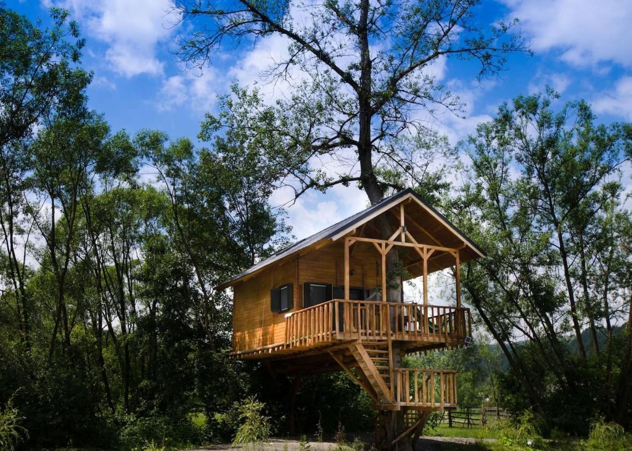 Vila Cuibul Vulturilor - Casuta In Copac Moisei Exteriér fotografie